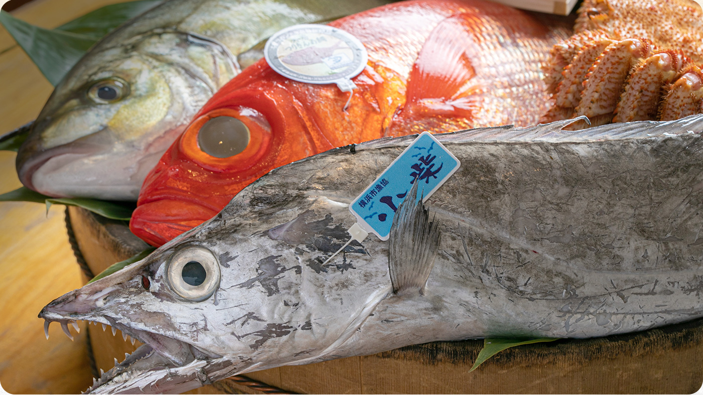 春夏魚介